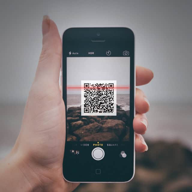 NZSL access in public + physical places